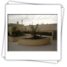 Clique na imagem para ampliar